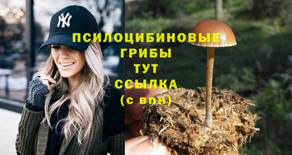 дживик Заводоуковск