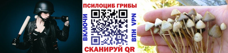 Псилоцибиновые грибы мухоморы  Белозерск 